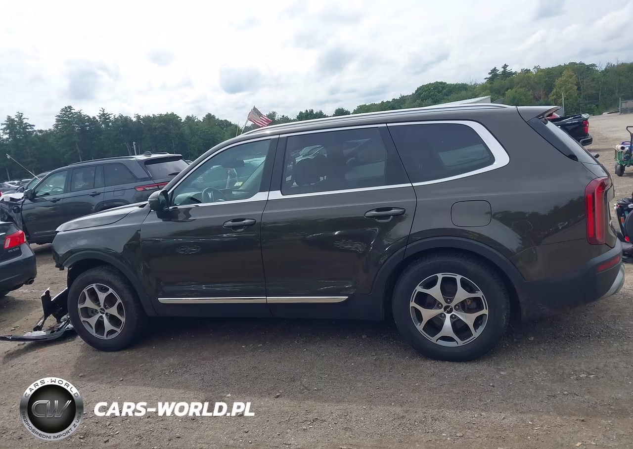 2022 Kia Telluride Ex VIN:5XYP3DHC9NG271975 - 15