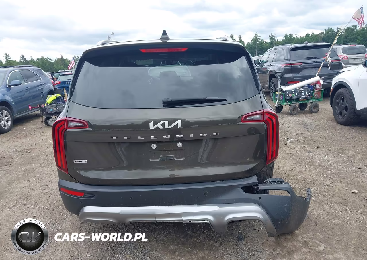 2022 Kia Telluride Ex VIN:5XYP3DHC9NG271975 - 18