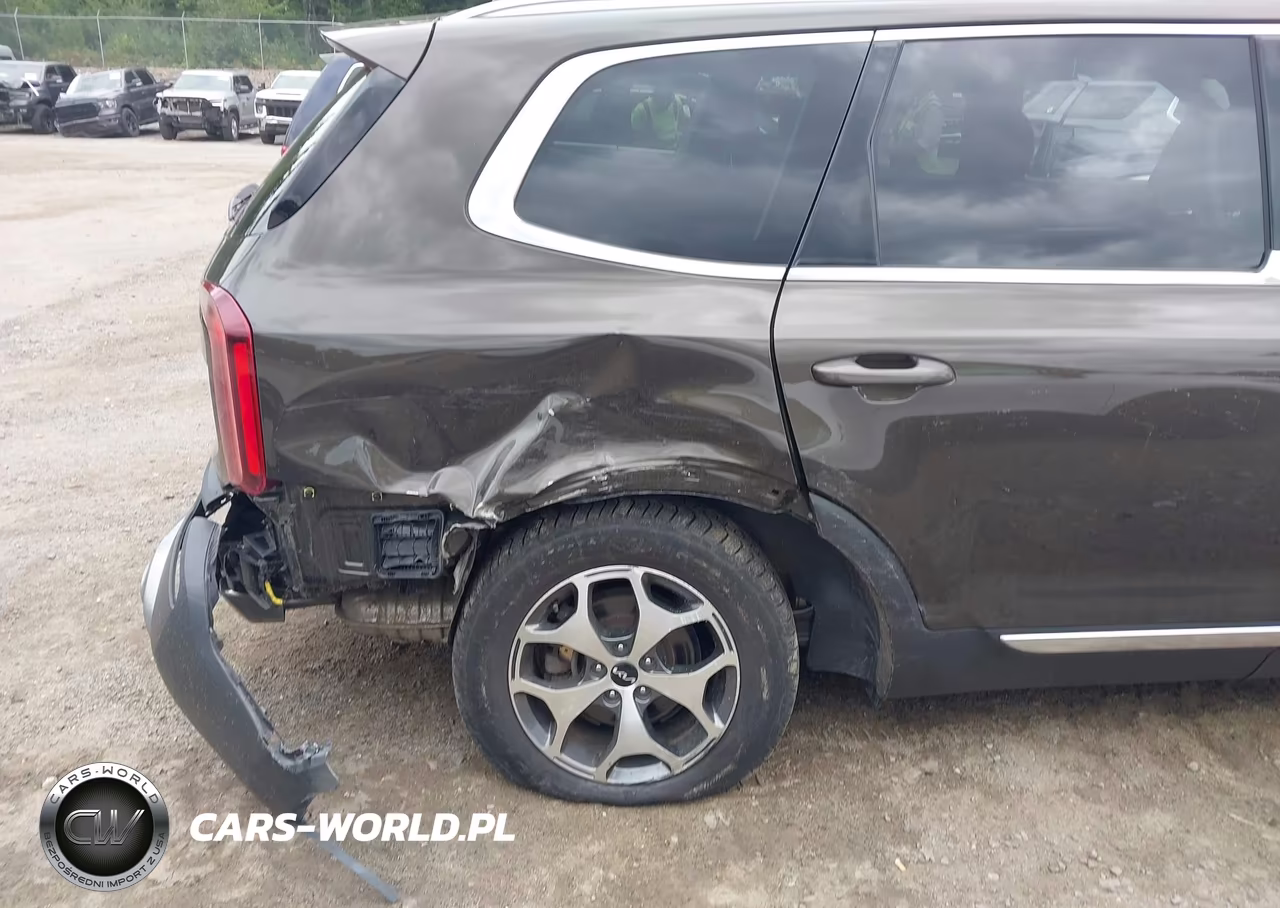 2022 Kia Telluride Ex VIN:5XYP3DHC9NG271975 - 19