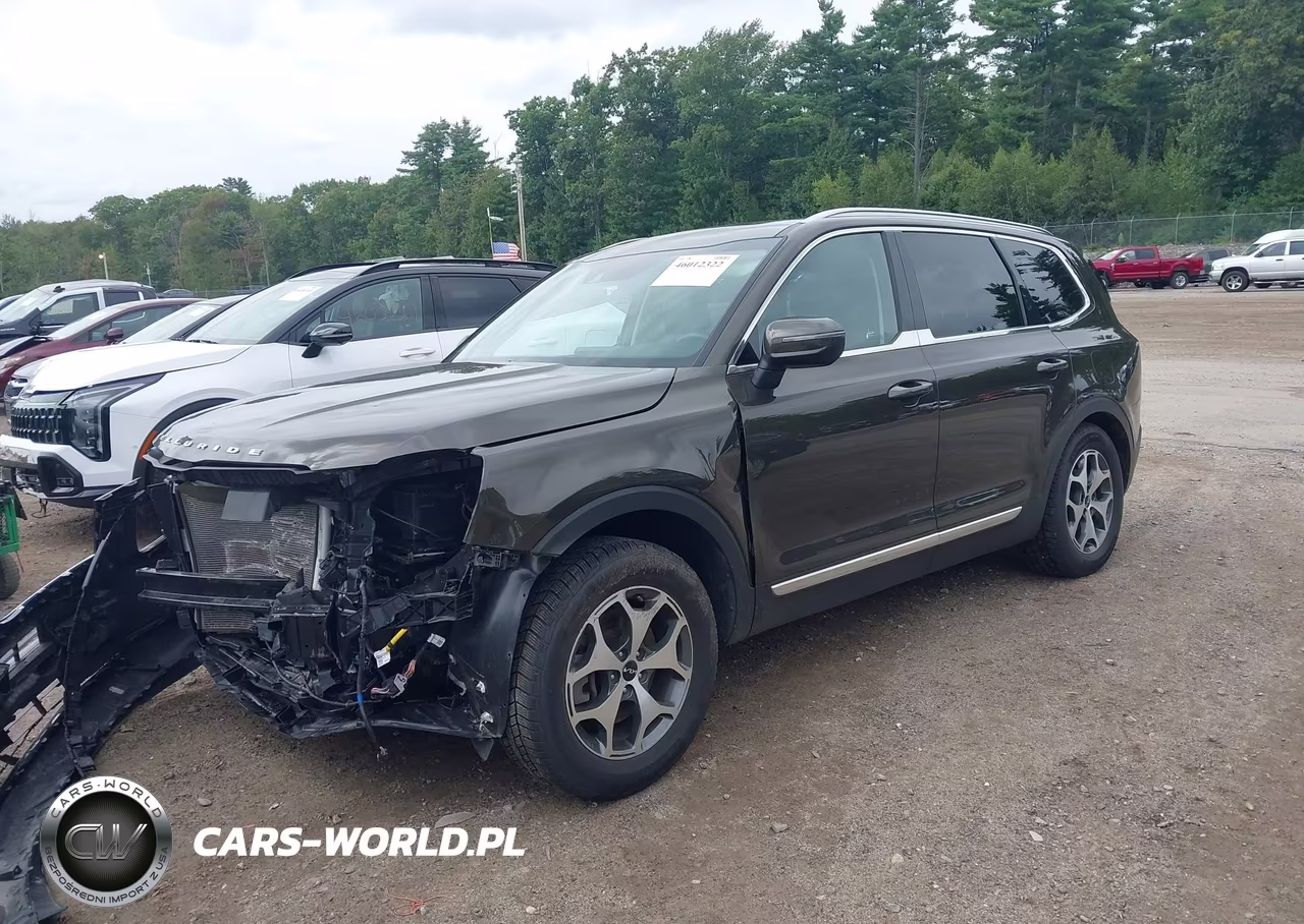 2022 Kia Telluride Ex VIN:5XYP3DHC9NG271975 - 2