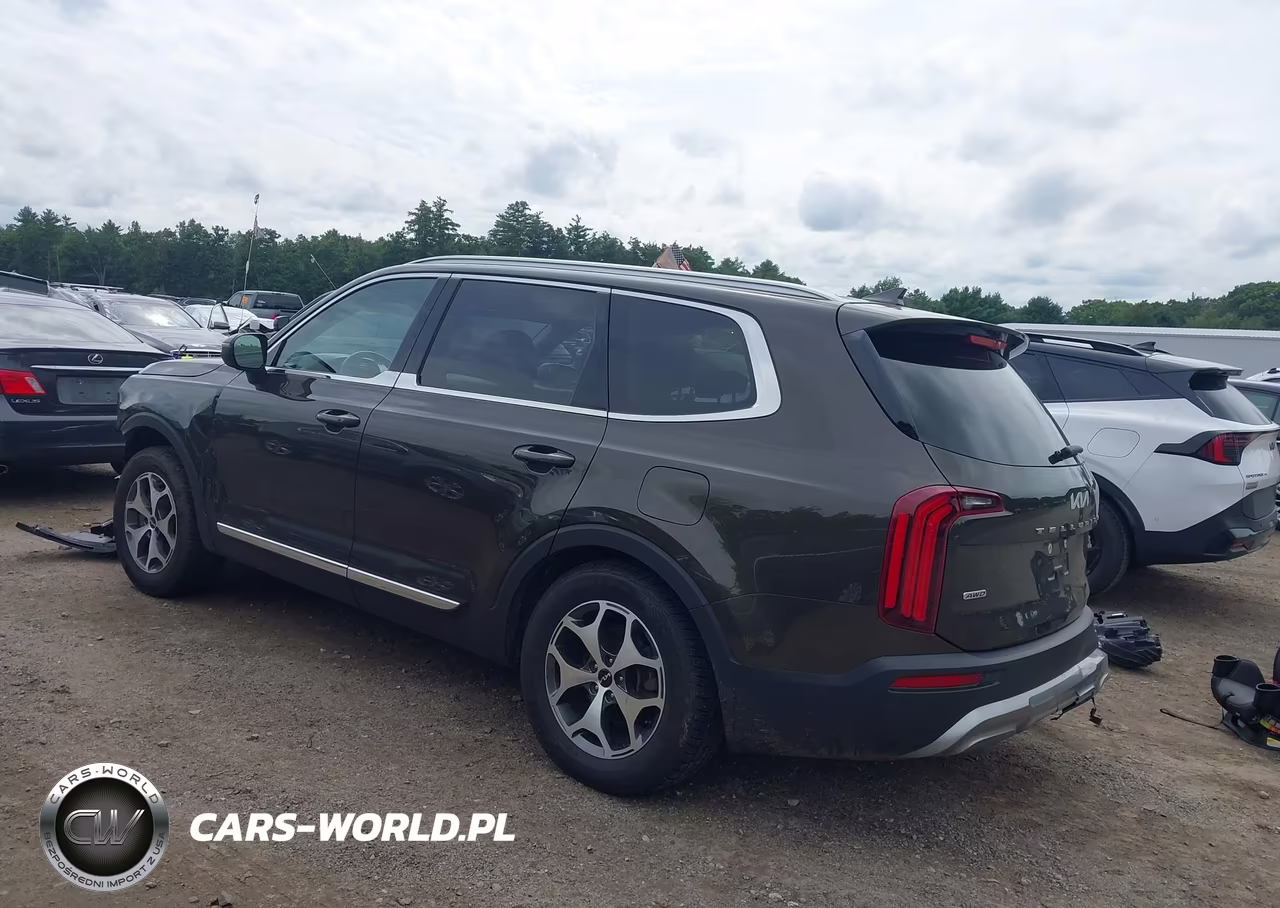 2022 Kia Telluride Ex VIN:5XYP3DHC9NG271975 - 3