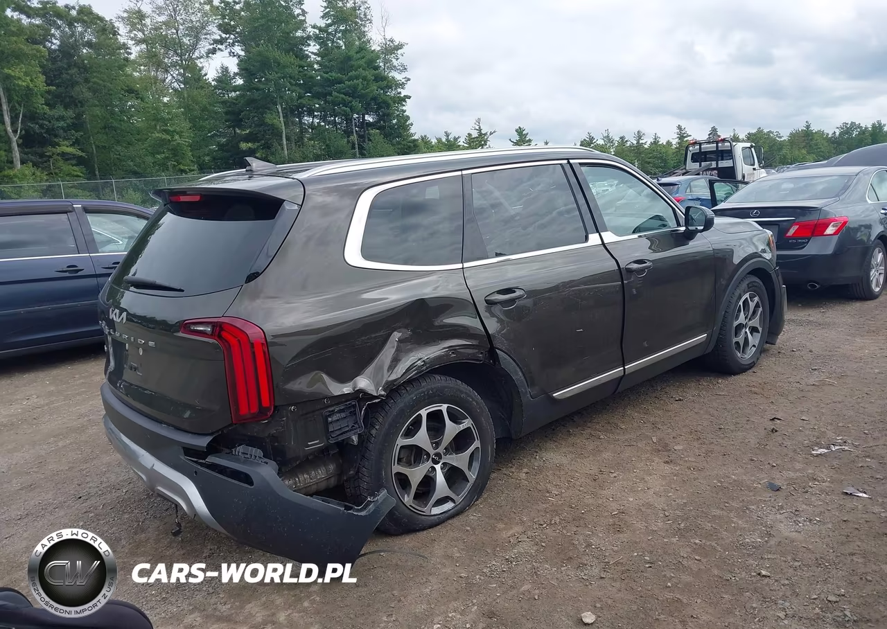 2022 Kia Telluride Ex VIN:5XYP3DHC9NG271975 - 4