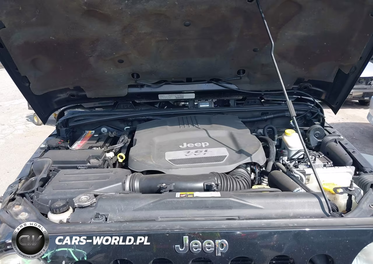 2013 Jeep Wrangler Rubicon VIN:1C4BJWCG1DL526448 - 10