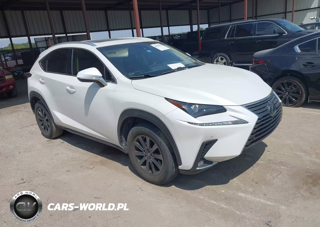 2019 Lexus Nx 300 VIN:JTJYARBZ4K2149032 - 1