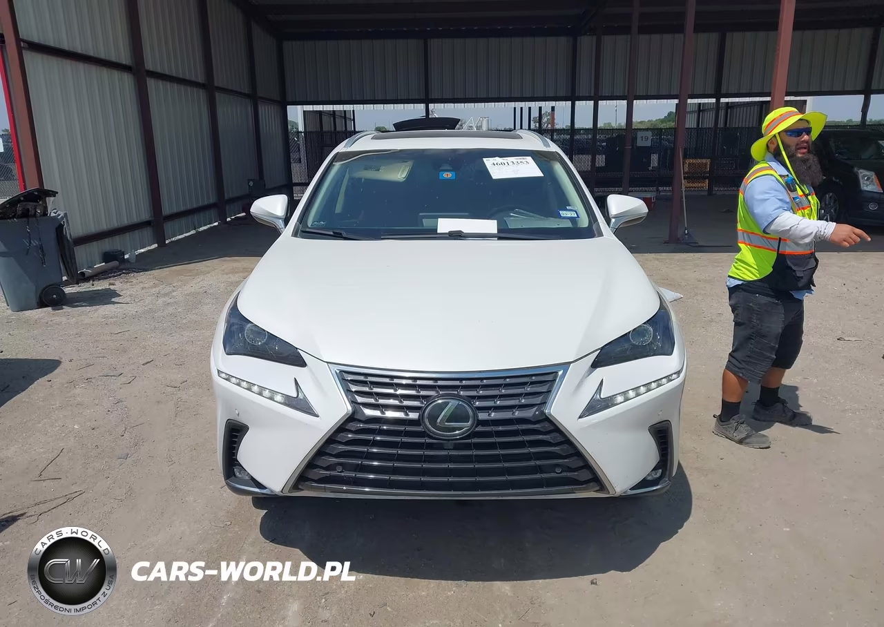 2019 Lexus Nx 300 VIN:JTJYARBZ4K2149032 - 12