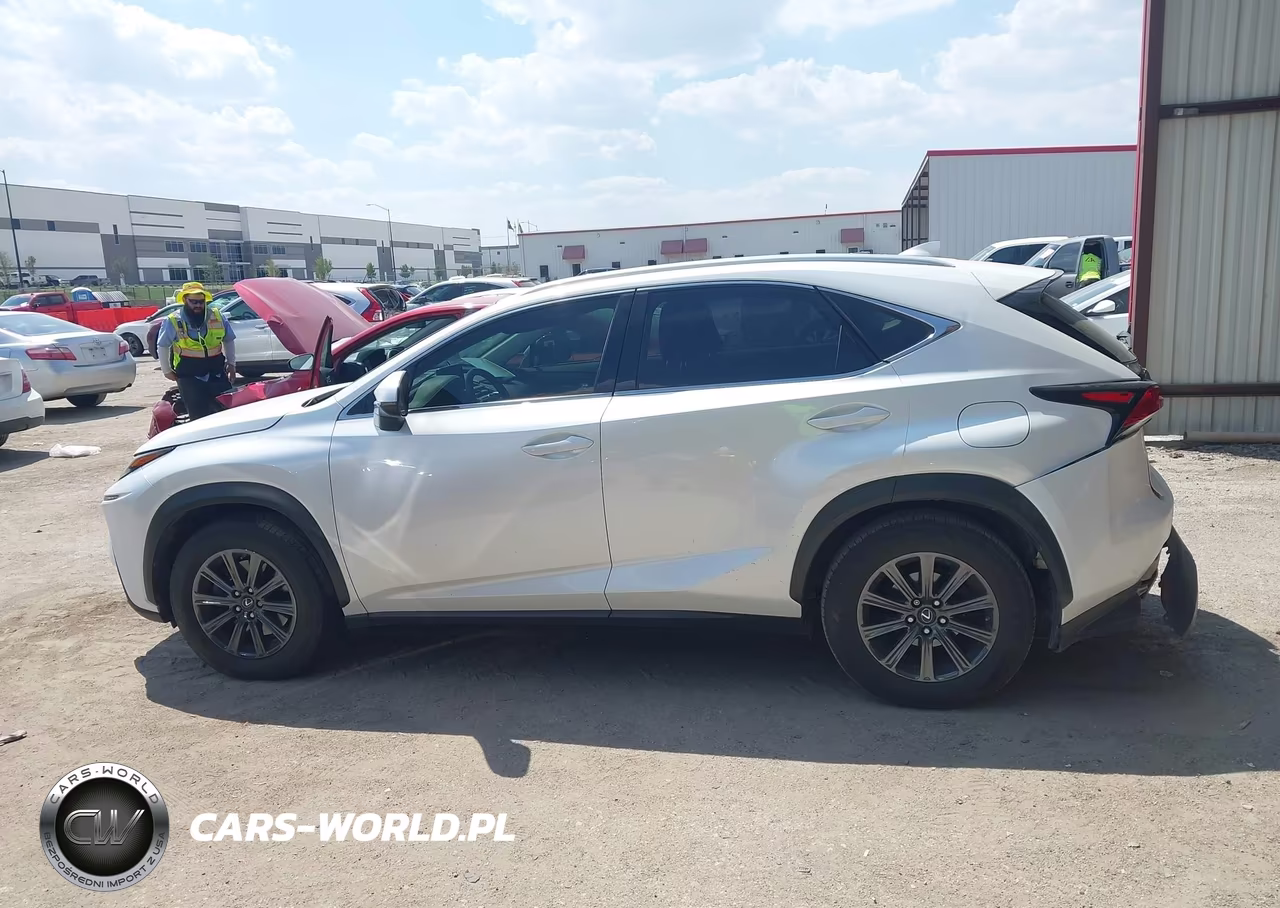 2019 Lexus Nx 300 VIN:JTJYARBZ4K2149032 - 14