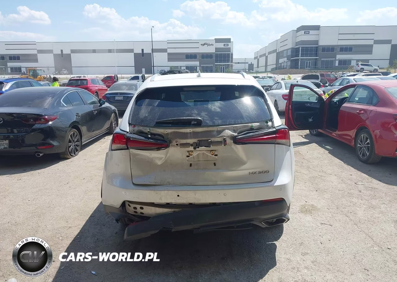 2019 Lexus Nx 300 VIN:JTJYARBZ4K2149032 - 16