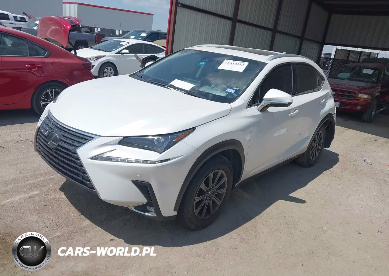 2019 Lexus Nx 300 VIN:JTJYARBZ4K2149032 - 2