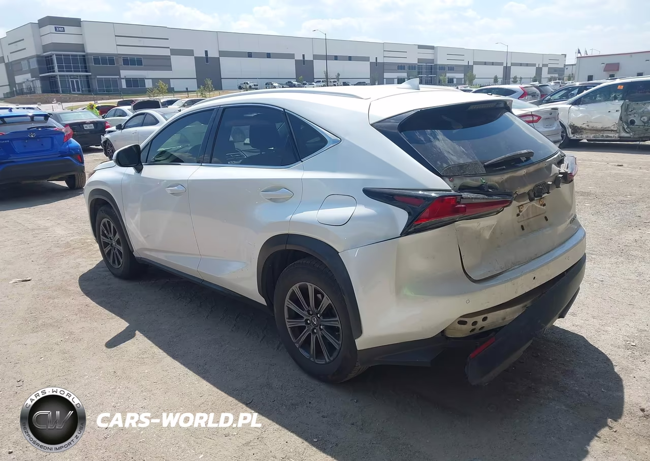 2019 Lexus Nx 300 VIN:JTJYARBZ4K2149032 - 3