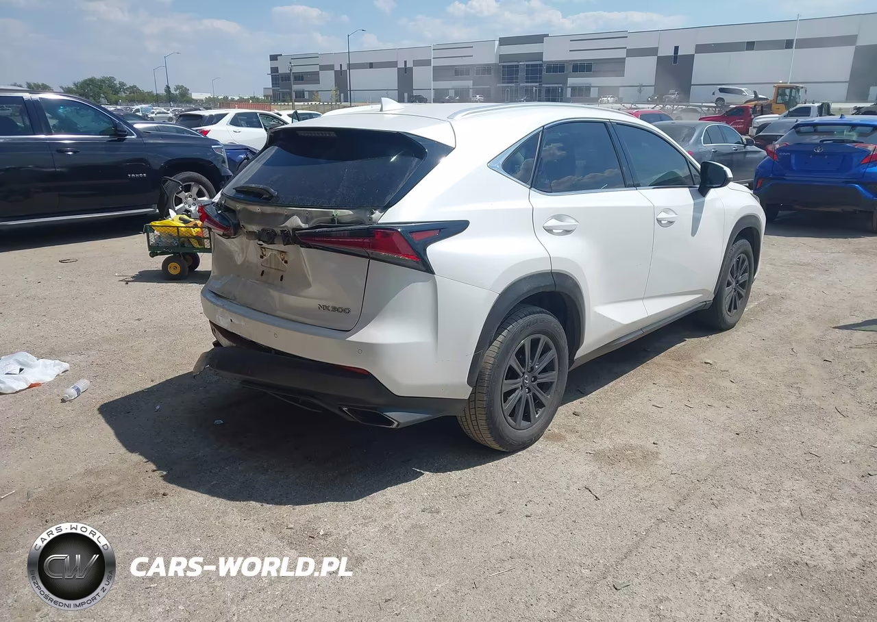 2019 Lexus Nx 300 VIN:JTJYARBZ4K2149032 - 4
