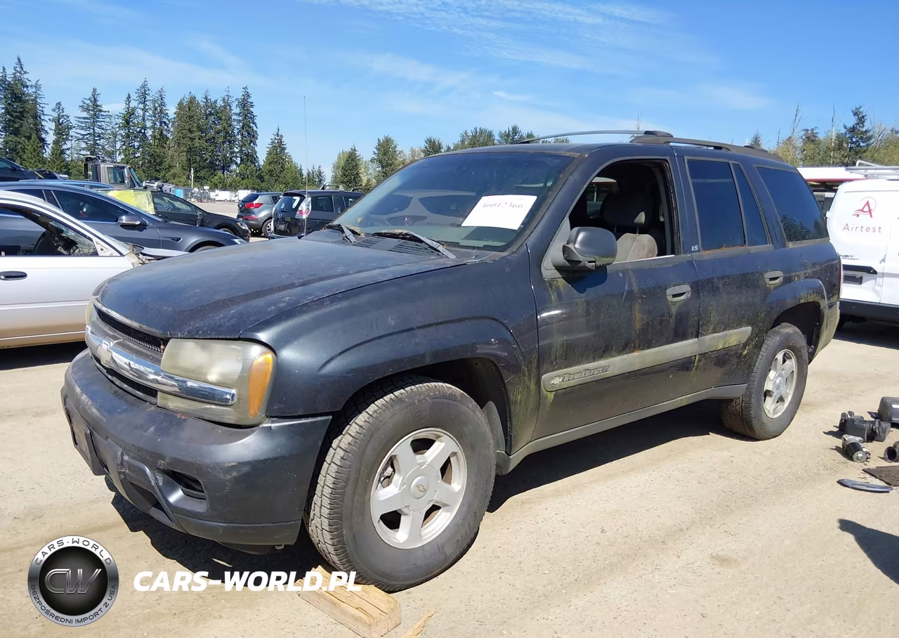 2003 Chevrolet Trailblazer Ls VIN:1GNDT13S332121620 - 2