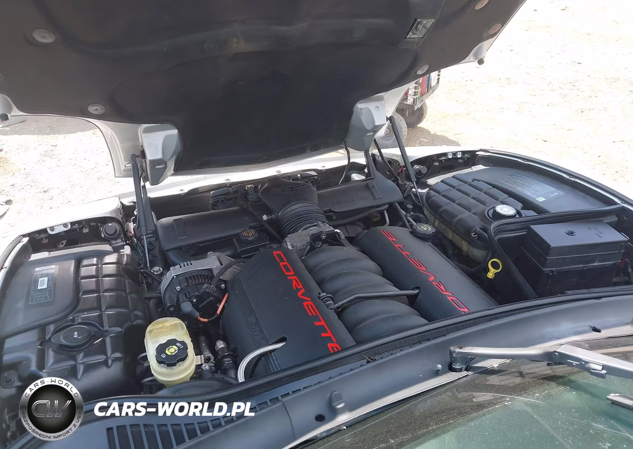 1999 Chevrolet Corvette VIN:1G1YY22G5X5110579 - 10