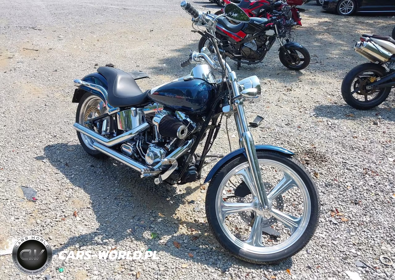 2002 Harley-Davidson Fxstd