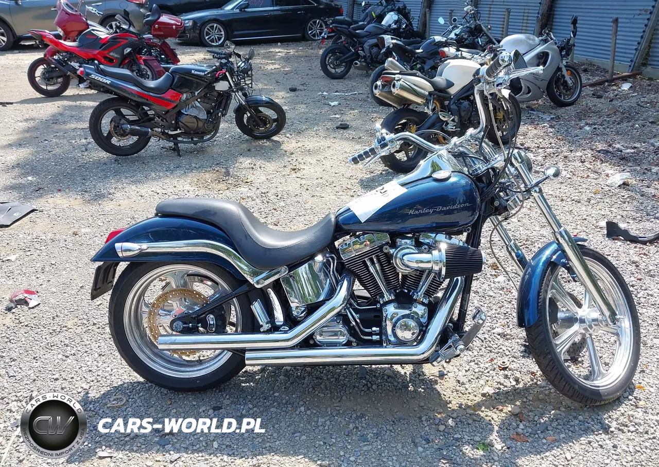 2002 Harley-Davidson Fxstd VIN:1HD1BSY162Y023860 - 11