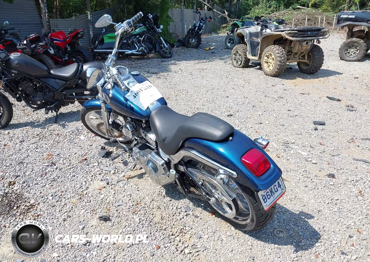 2002 Harley-Davidson Fxstd VIN:1HD1BSY162Y023860 - 3