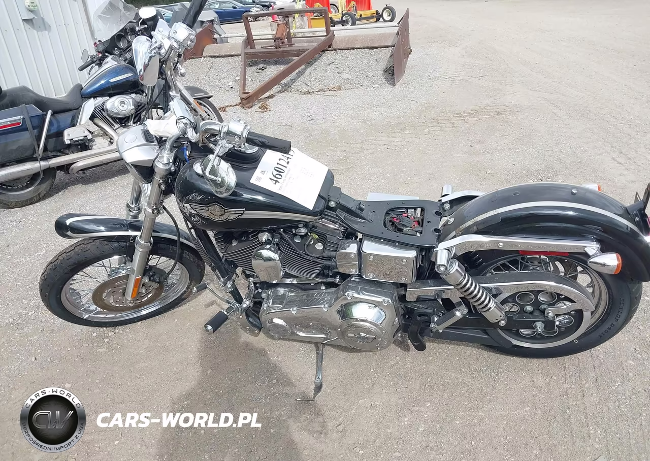 2003 Harley-Davidson Fxdl VIN:1HD1GDV163K301890 - 13