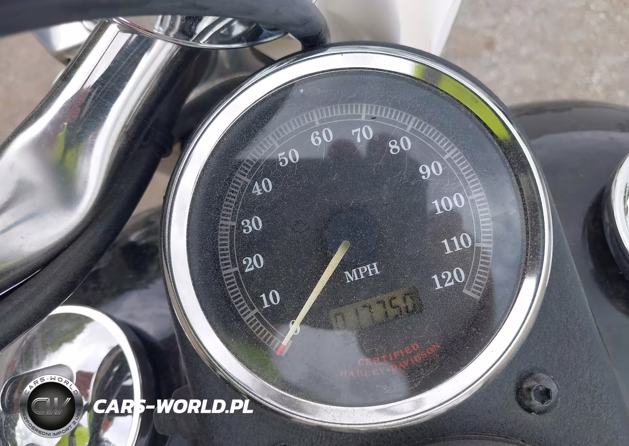 2003 Harley-Davidson Fxdl VIN:1HD1GDV163K301890 - 7