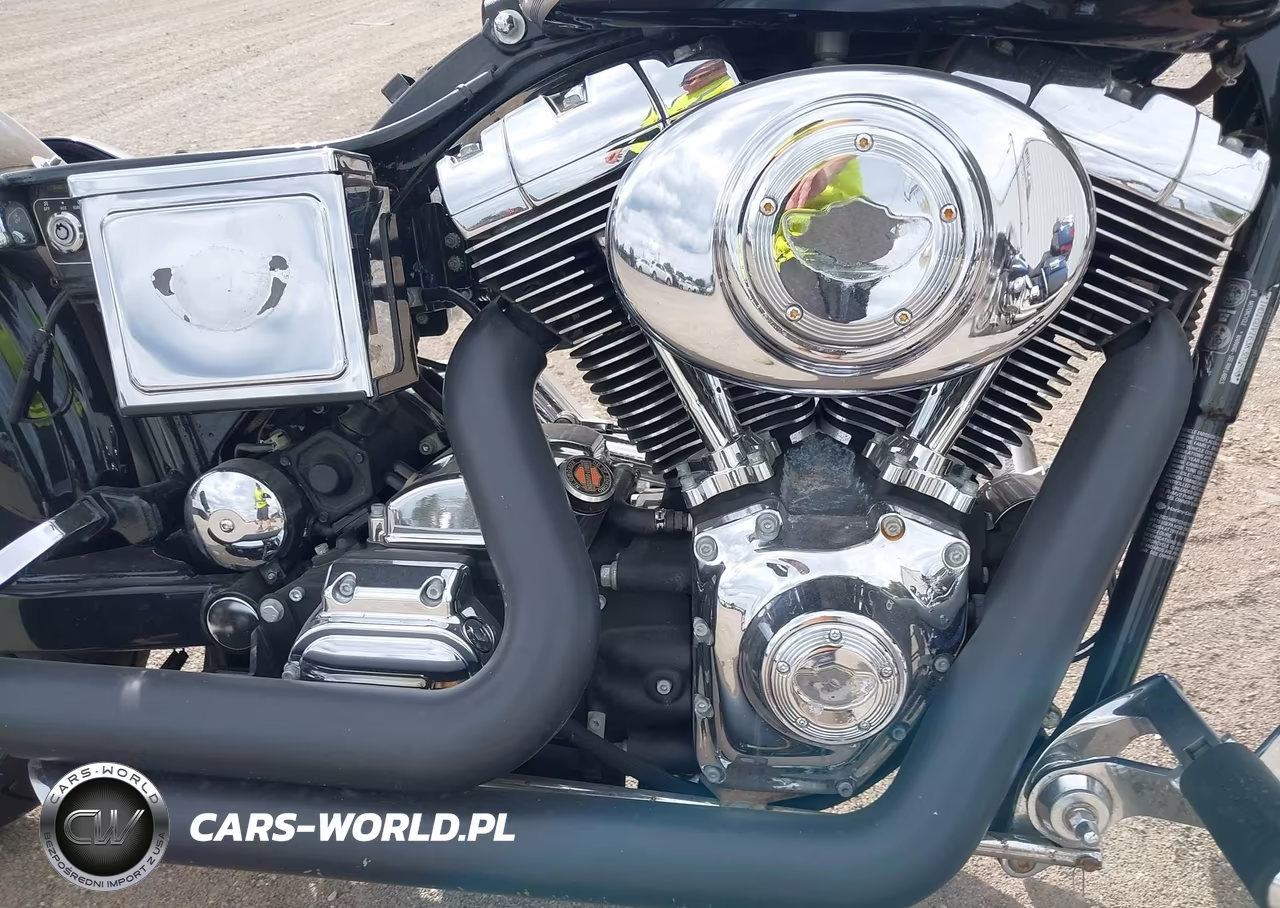 2003 Harley-Davidson Fxdl VIN:1HD1GDV163K301890 - 8
