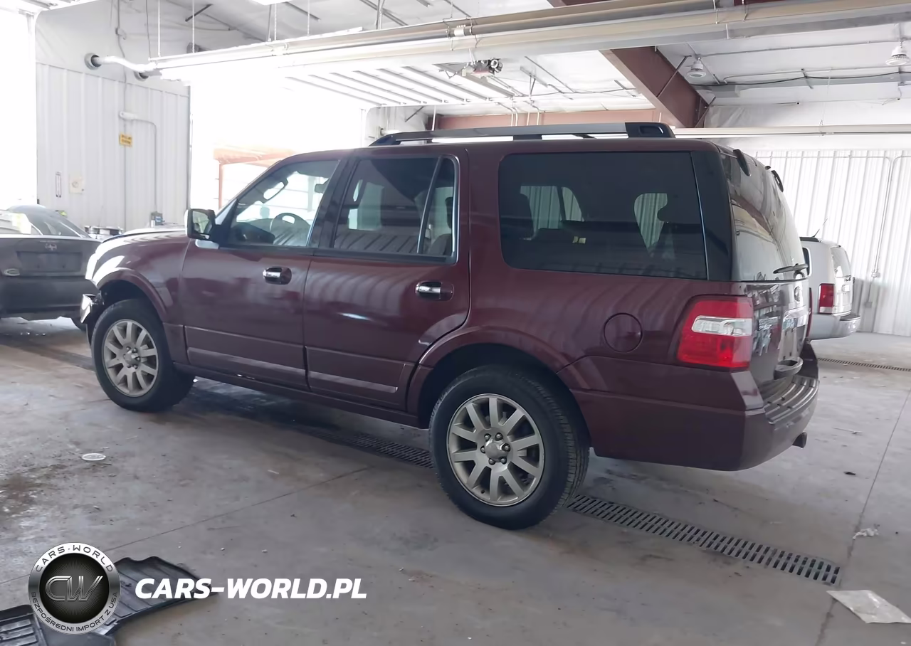 2010 Ford Expedition Limited VIN:1FMJU1K55AEB72984 - 3