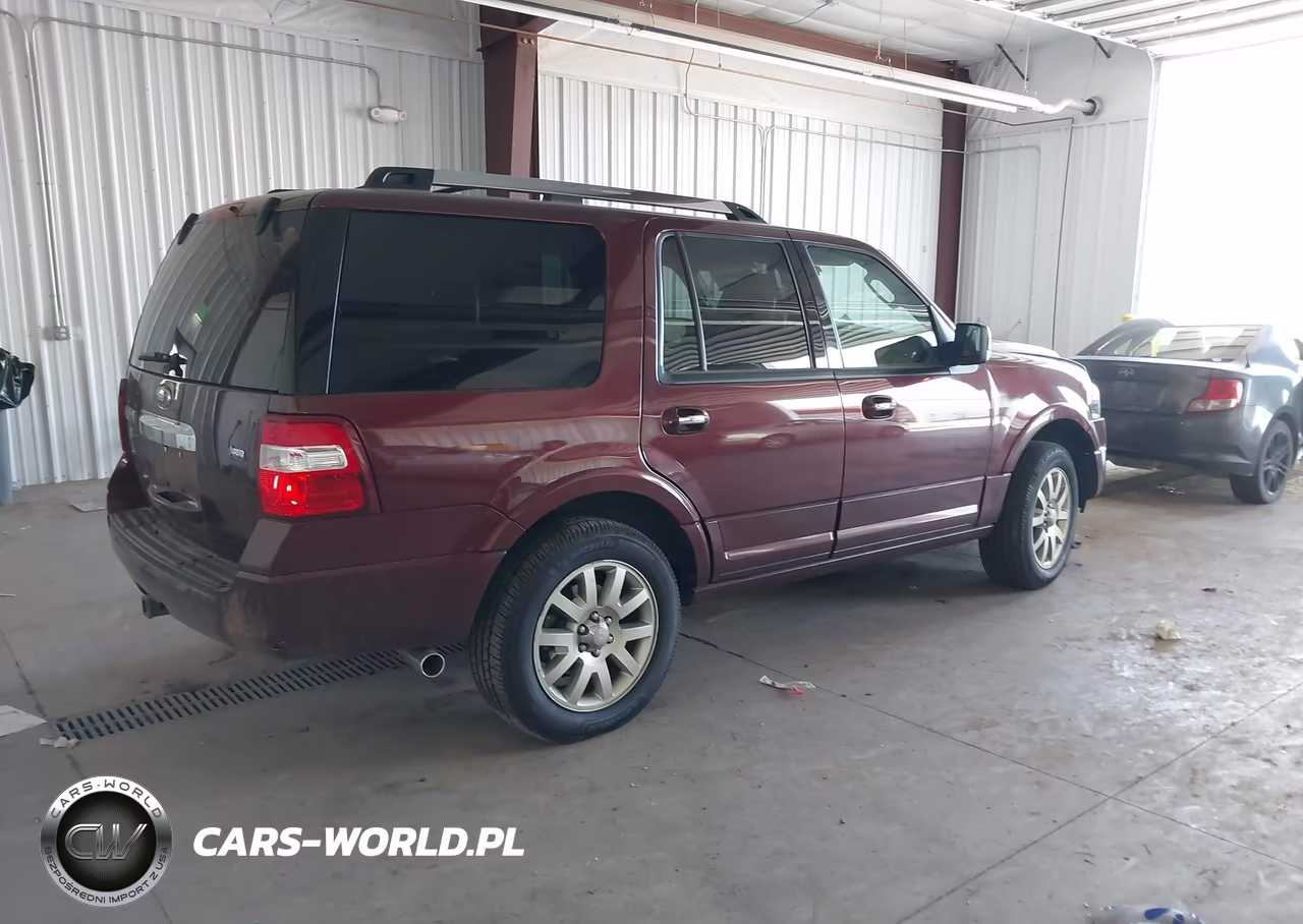2010 Ford Expedition Limited VIN:1FMJU1K55AEB72984 - 4