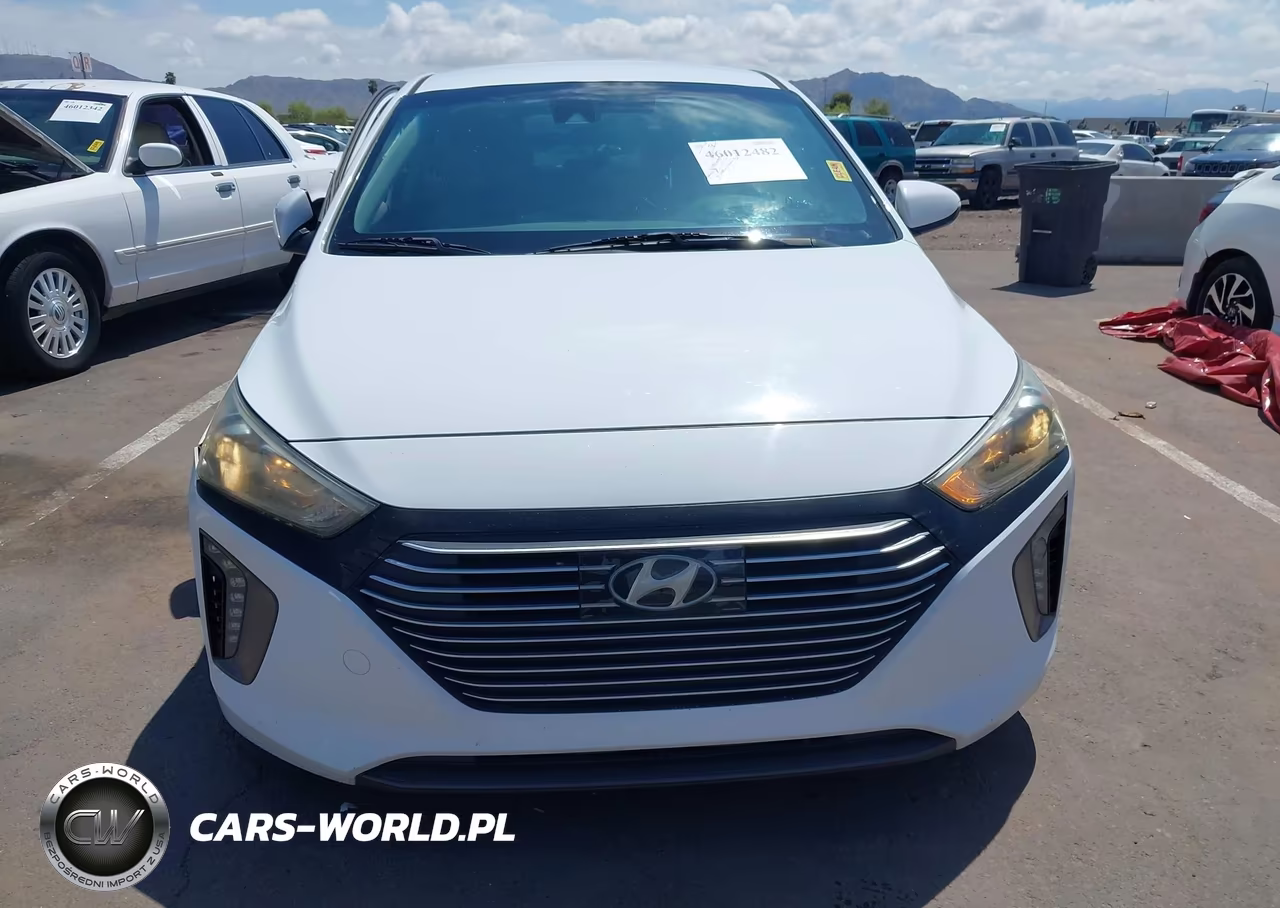 2019 Hyundai Ioniq Hybrid Sel VIN:KMHC75LC6KU113423 - 13