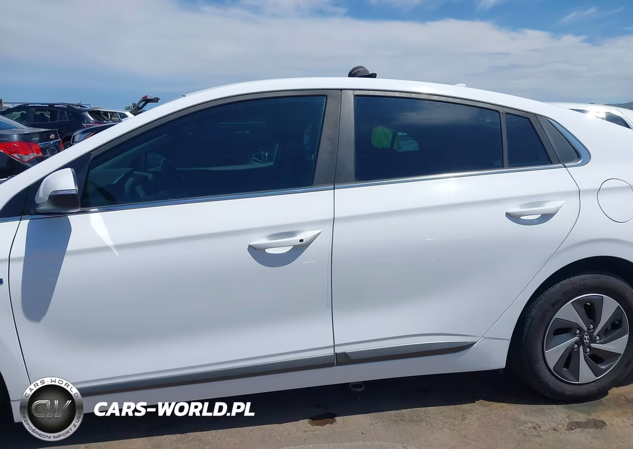 2019 Hyundai Ioniq Hybrid Sel VIN:KMHC75LC6KU113423 - 15