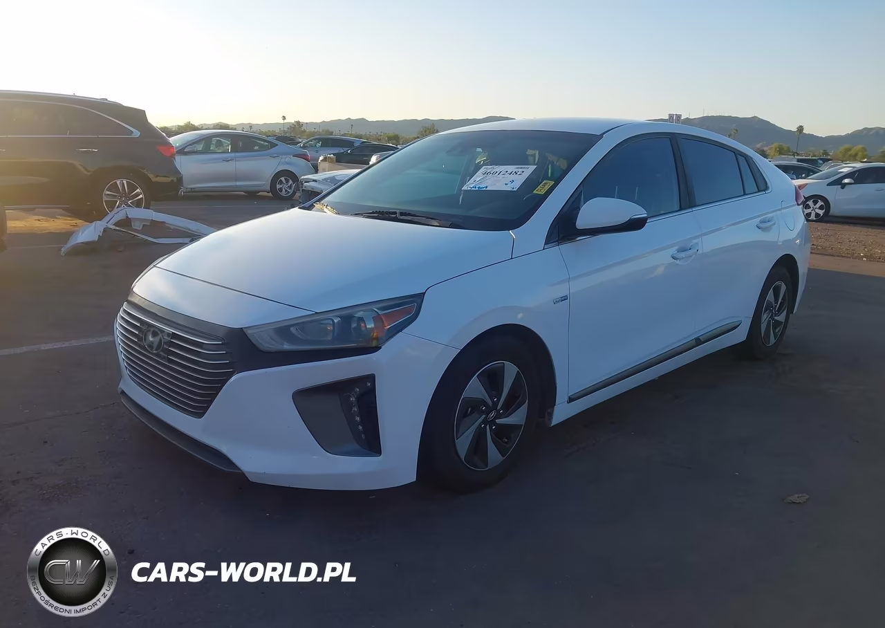 2019 Hyundai Ioniq Hybrid Sel VIN:KMHC75LC6KU113423 - 2
