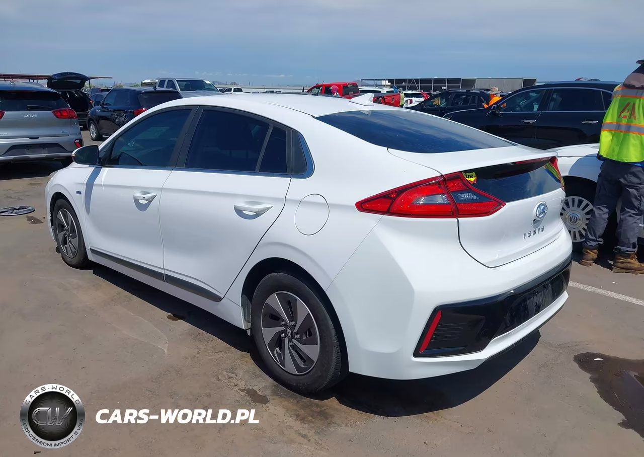2019 Hyundai Ioniq Hybrid Sel VIN:KMHC75LC6KU113423 - 3
