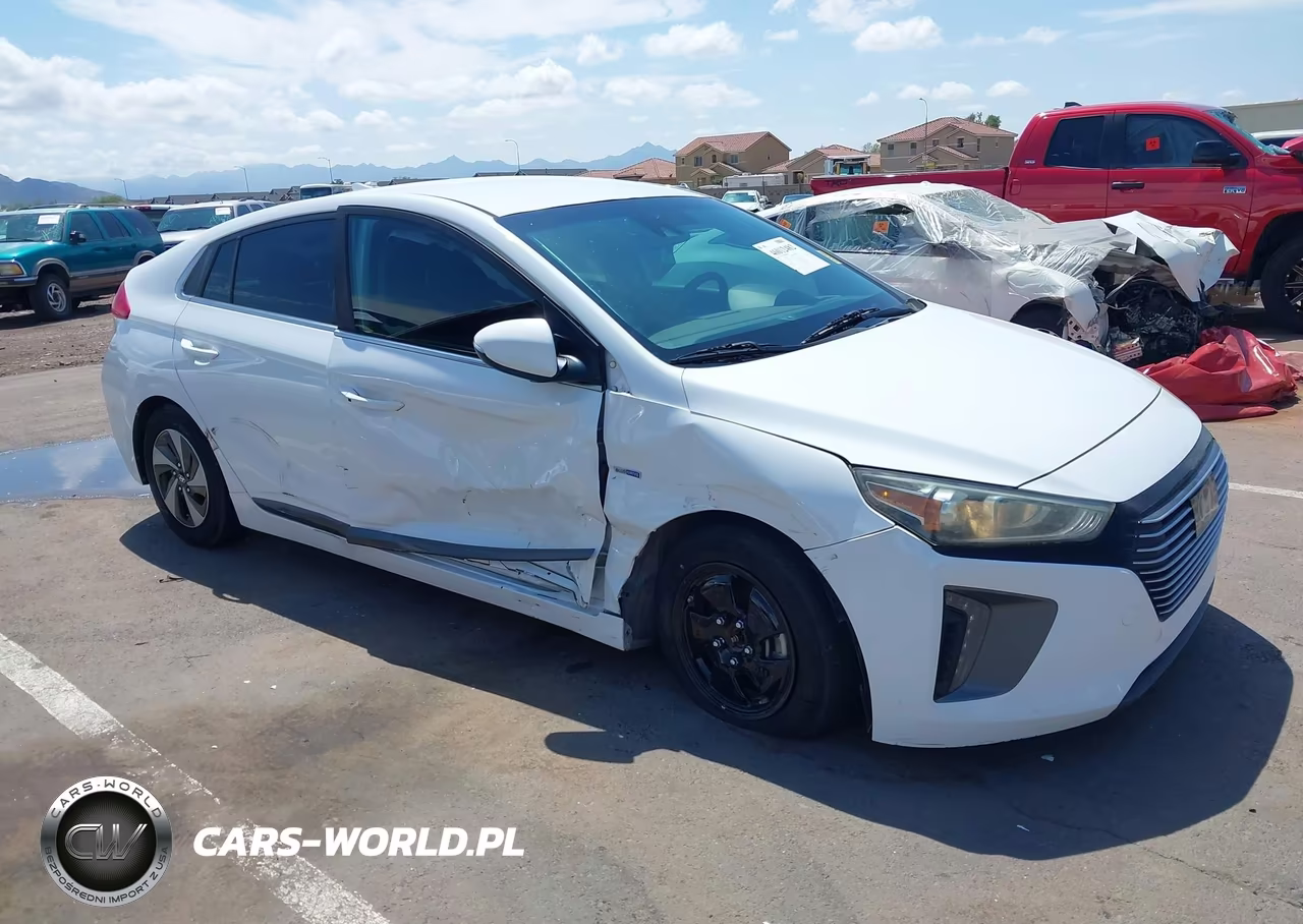 2019 Hyundai Ioniq Hybrid Sel VIN:KMHC75LC6KU113423 - 6