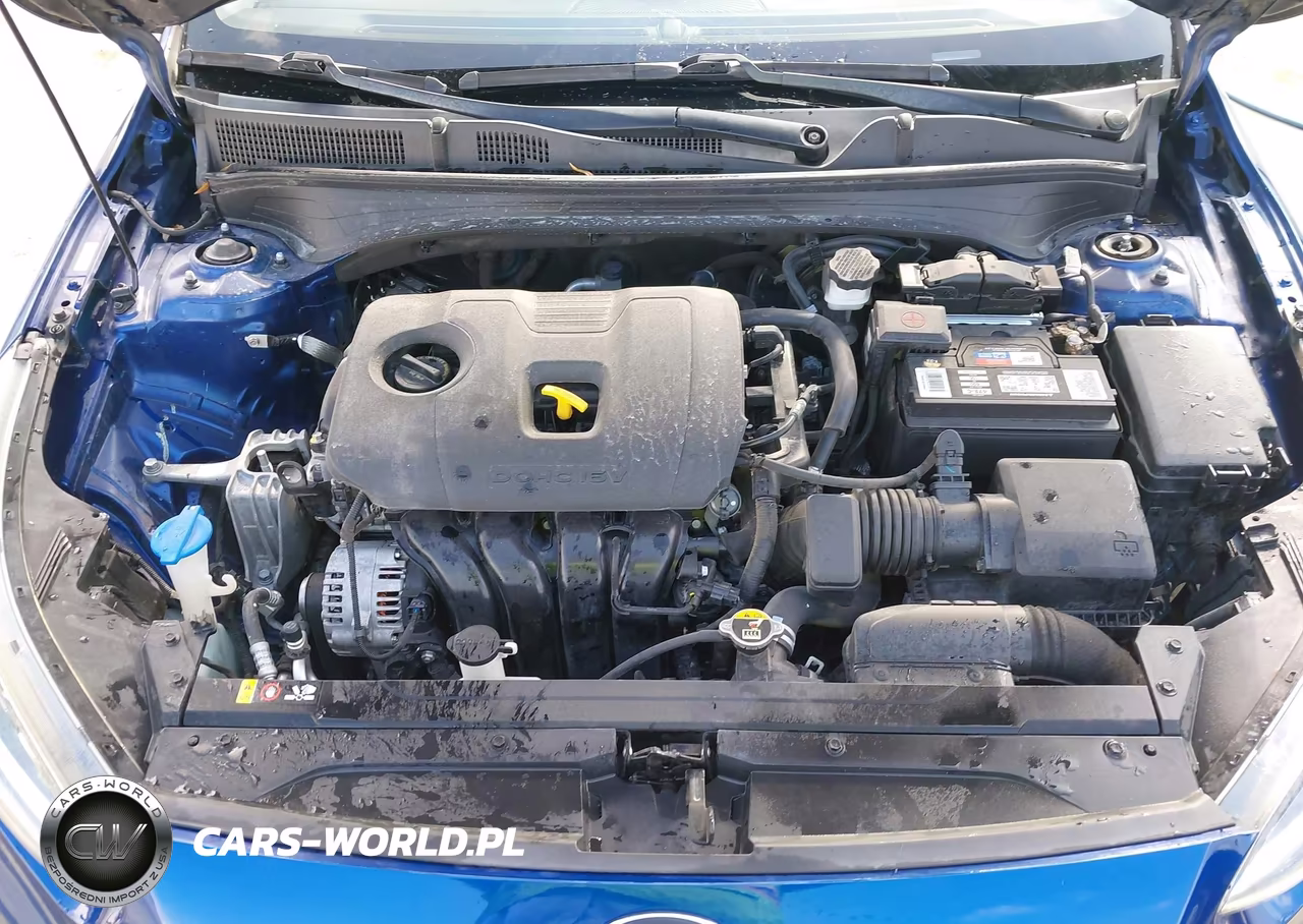 2019 Kia Forte Lxs VIN:3KPF24AD6KE043507 - 10