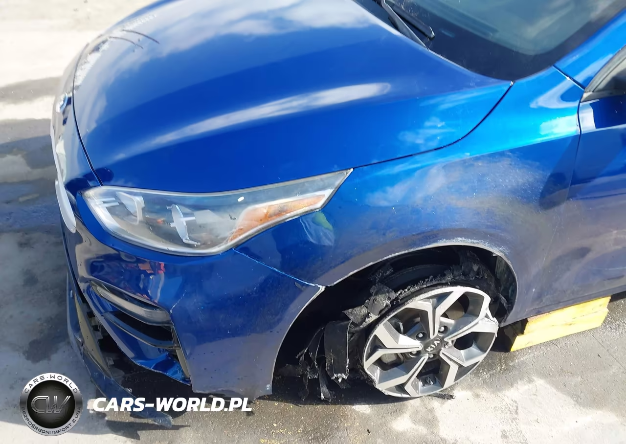 2019 Kia Forte Lxs VIN:3KPF24AD6KE043507 - 6