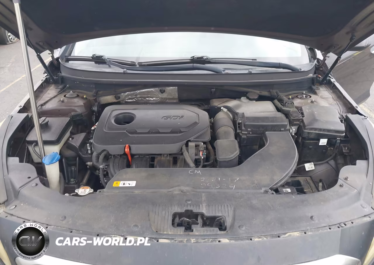 2016 Hyundai Sonata Se VIN:5NPE24AF2GH280396 - 10