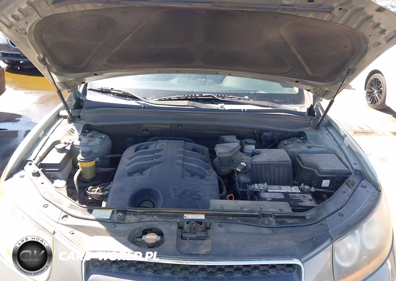 2009 Hyundai Santa Fe Se VIN:5NMSH13E39H326211 - 10