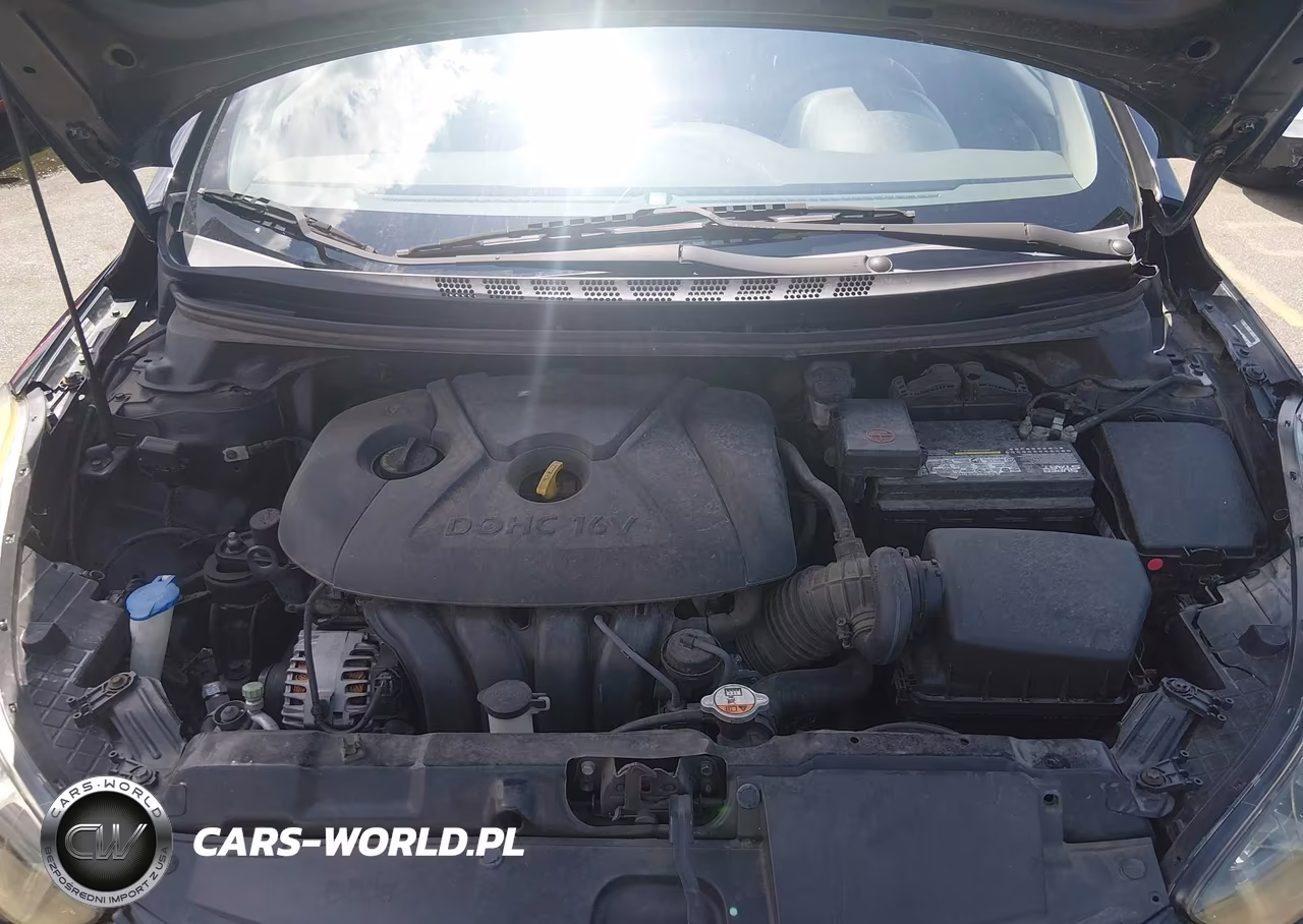 2013 Hyundai Elantra Gls VIN:KMHDH4AE6DU999987 - 10