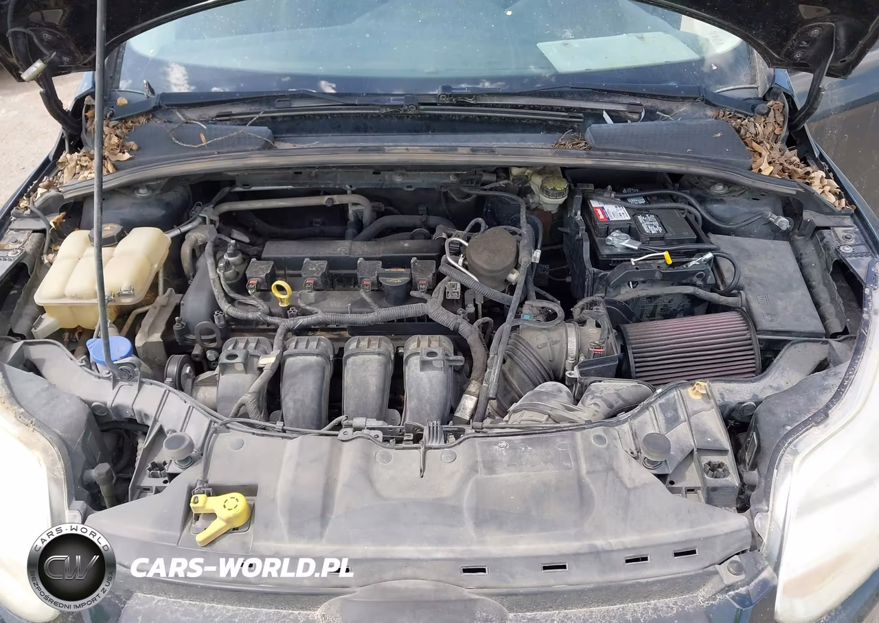 2014 Ford Focus Se VIN:1FADP3F27EL309936 - 10