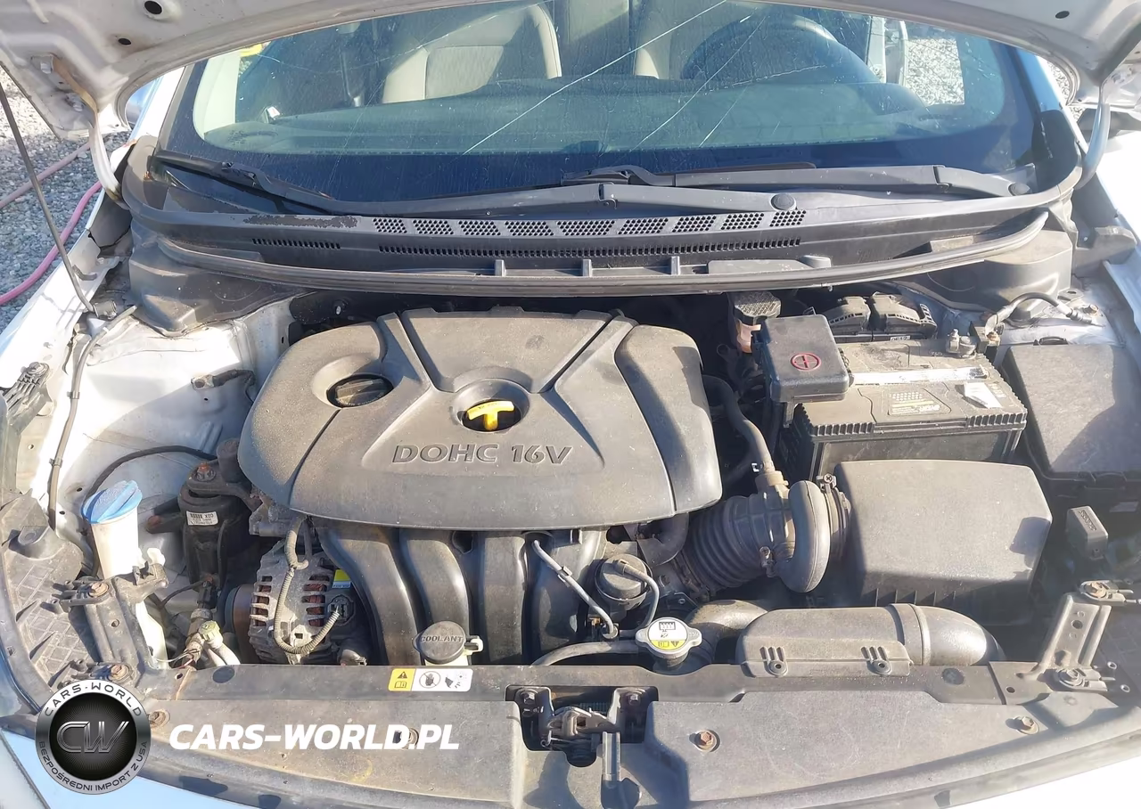 2014 Kia Forte Lx VIN:KNAFK4A65E5056506 - 10