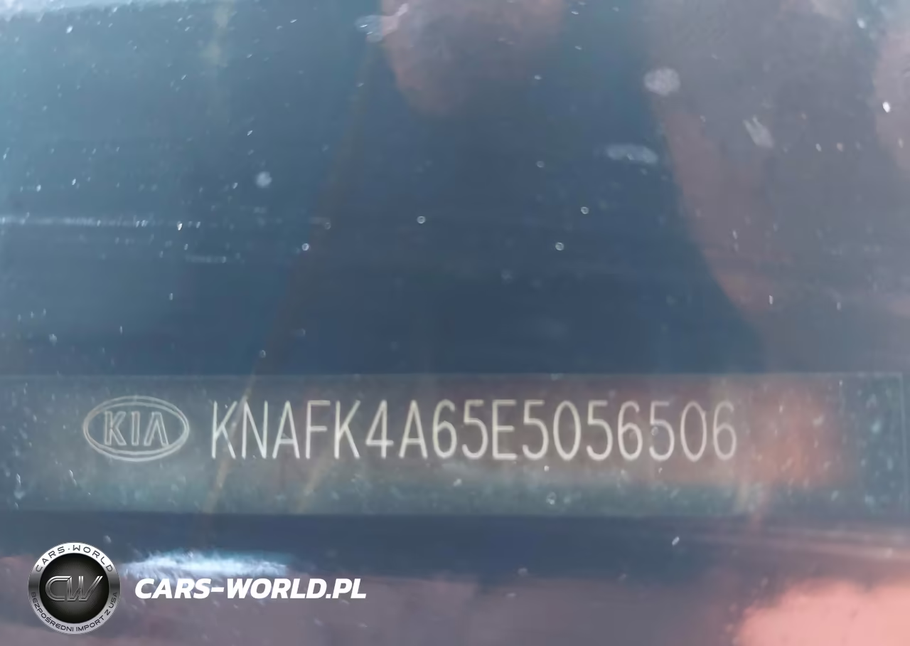 2014 Kia Forte Lx VIN:KNAFK4A65E5056506 - 9
