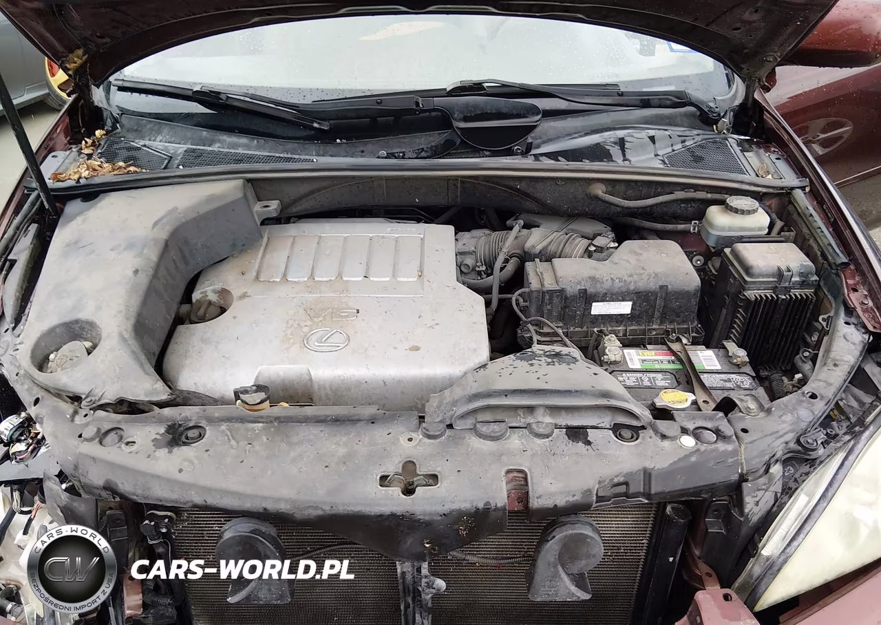 2008 Lexus Rx 350 VIN:JTJGK31U989851746 - 10