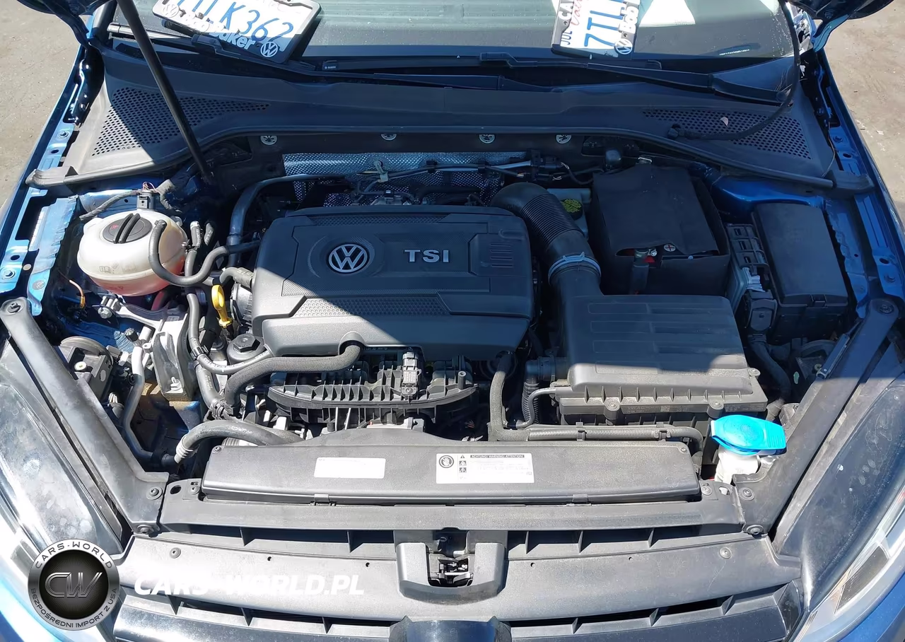 2016 Volkswagen Golf Sportwagen Tsi S 4-Door VIN:3VWC17AU3GM516944 - 10