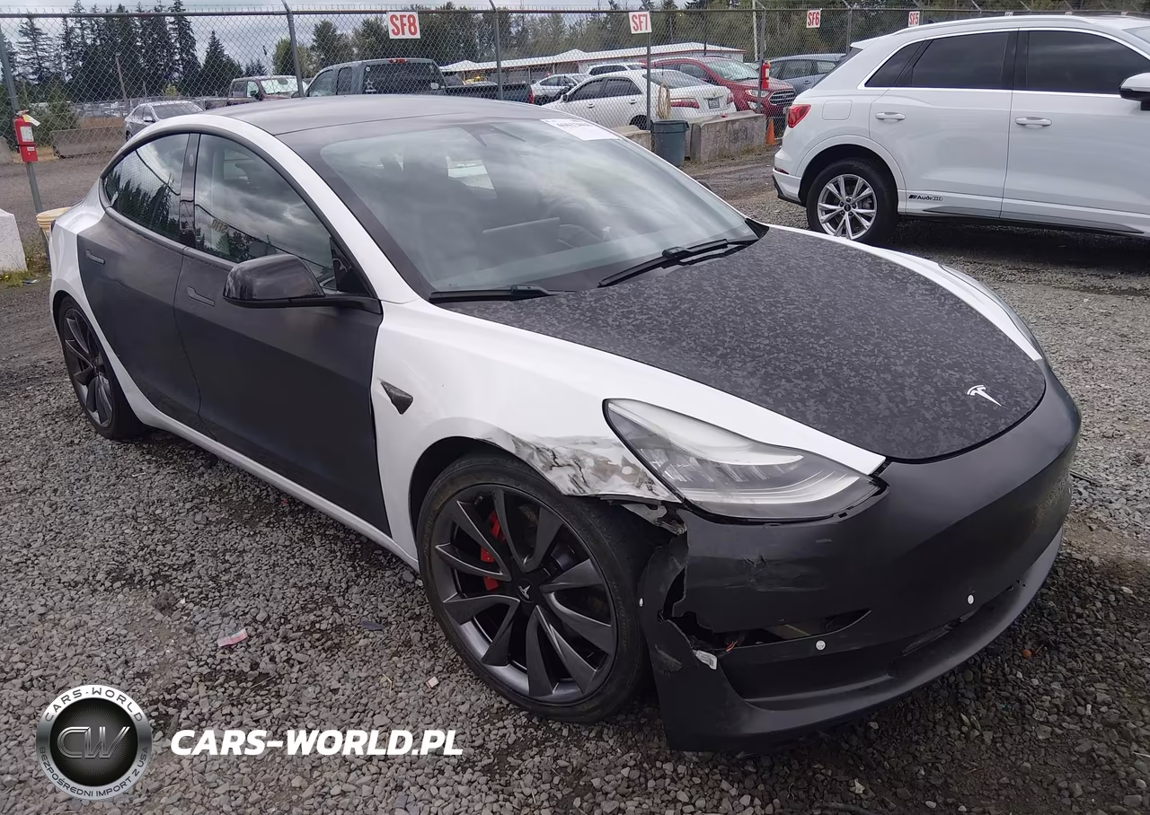 2019 Tesla Model 3 Long Range-Performance