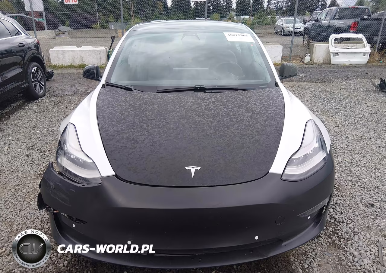 2019 Tesla Model 3 Long Range-Performance VIN:5YJ3E1EB2KF487186 - 13