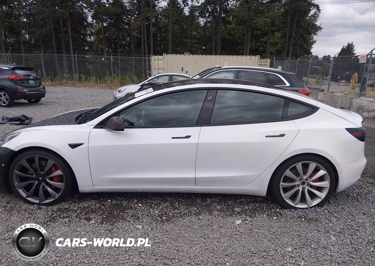 2019 Tesla Model 3 Long Range-Performance VIN:5YJ3E1EB2KF487186 - 15