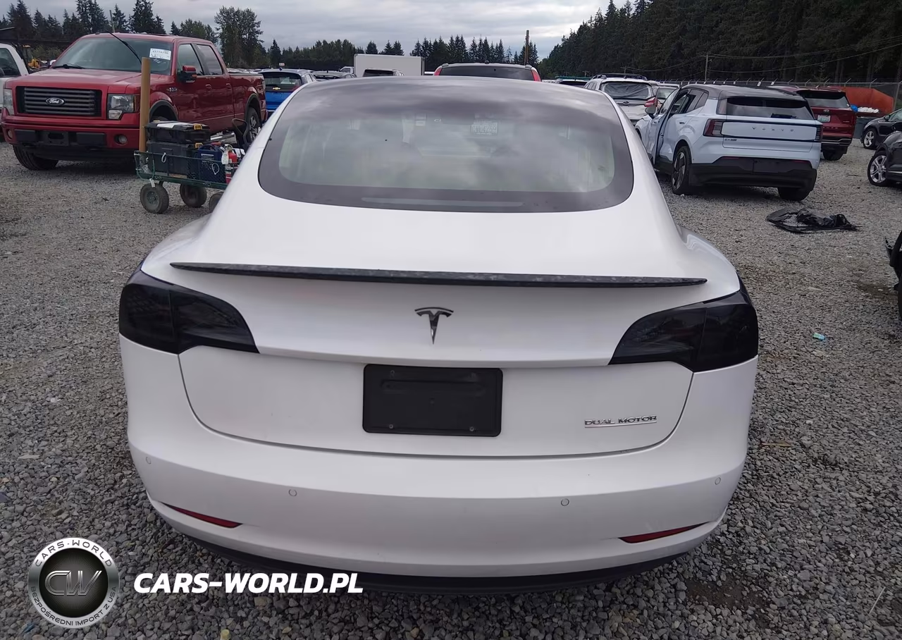 2019 Tesla Model 3 Long Range-Performance VIN:5YJ3E1EB2KF487186 - 17