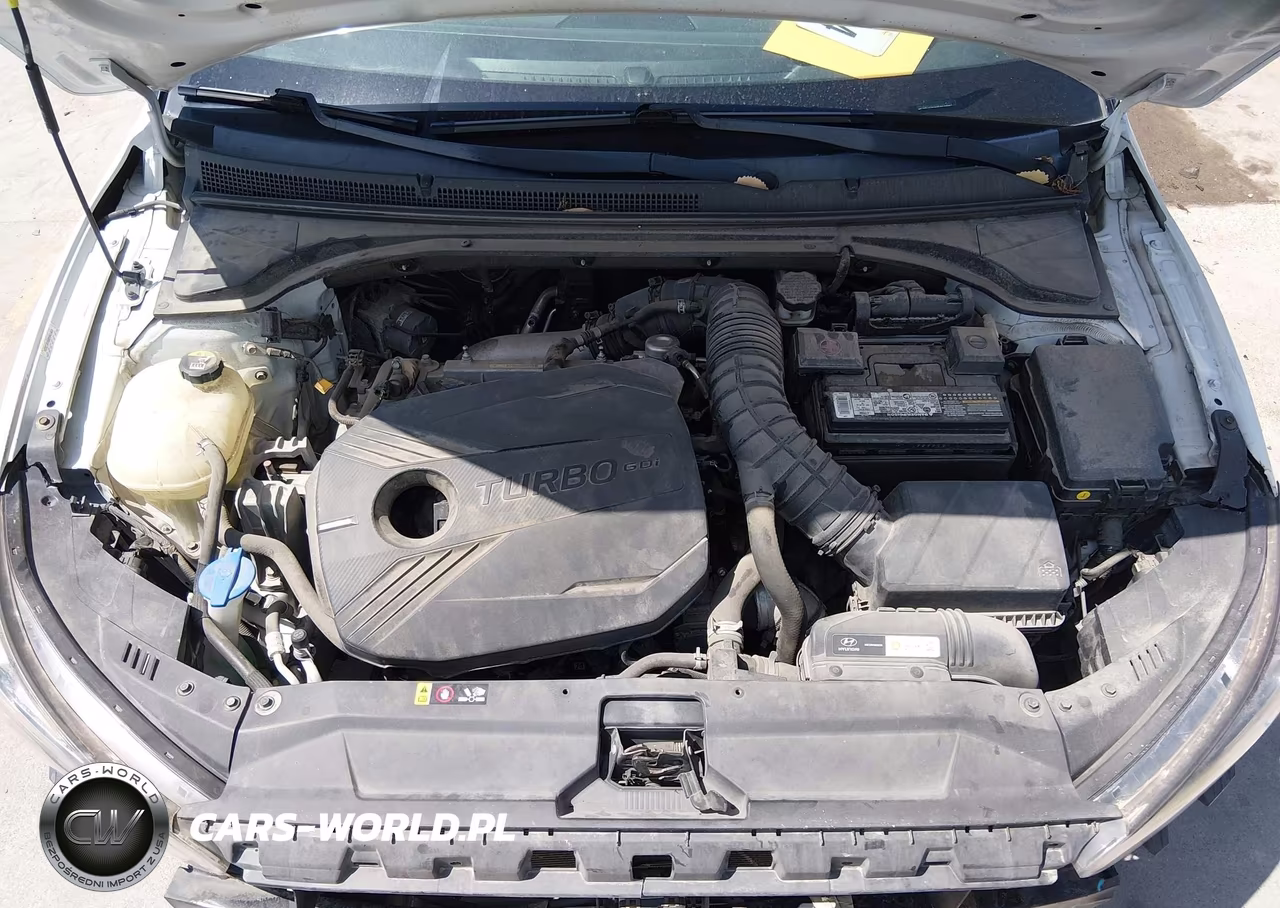 2019 Hyundai Veloster Turbo Ultimate VIN:KMHTH6AB8KU013224 - 10