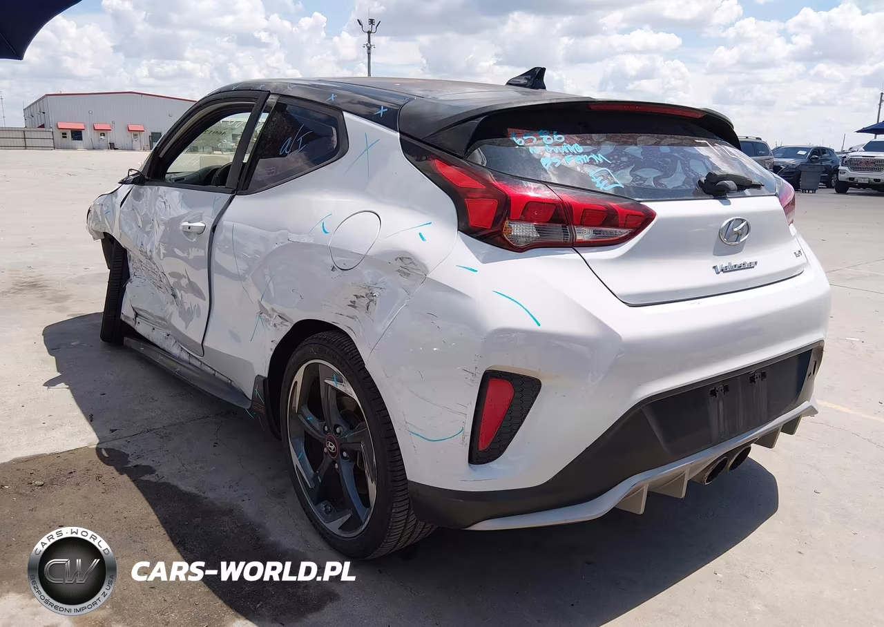2019 Hyundai Veloster Turbo Ultimate VIN:KMHTH6AB8KU013224 - 3