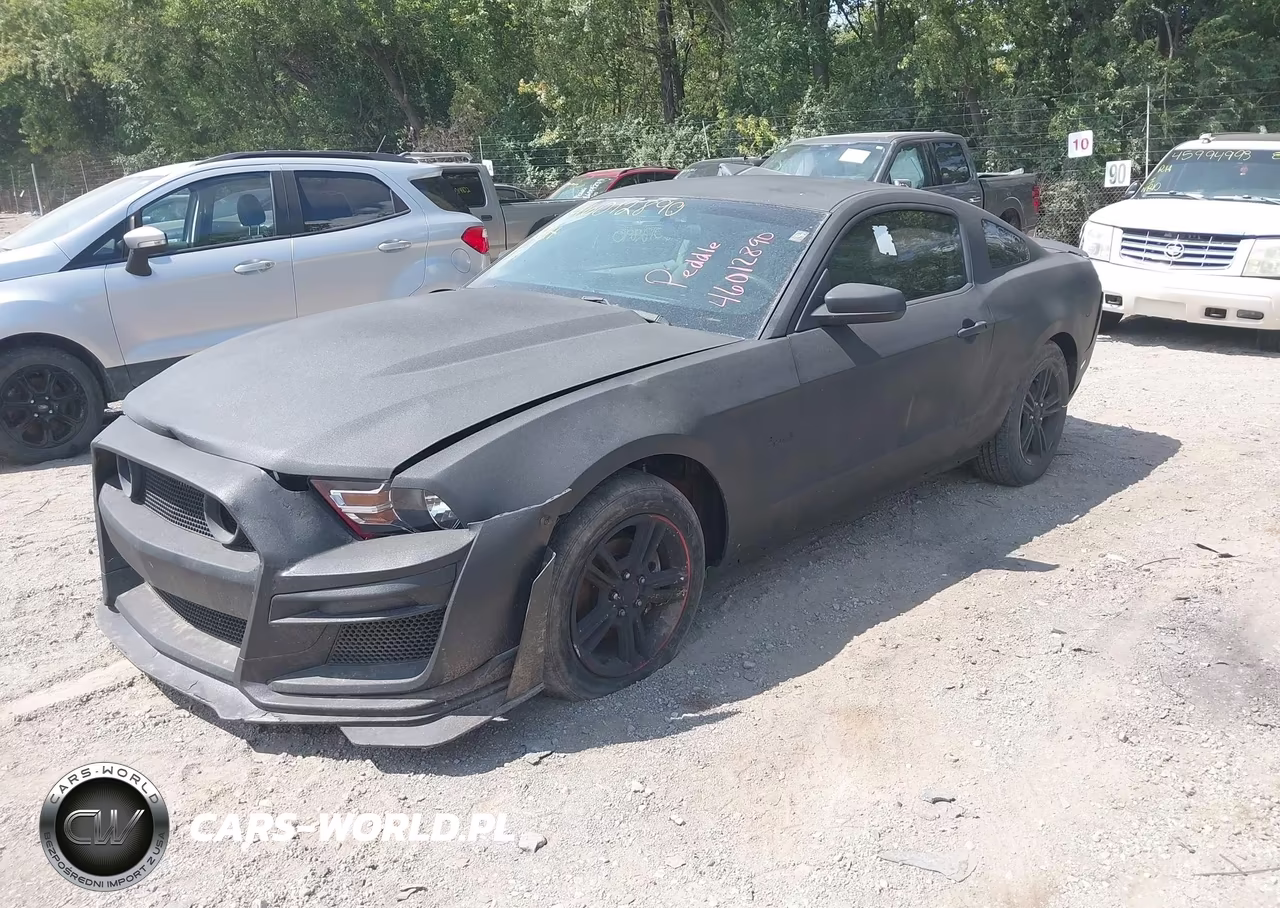 2010 Ford Mustang V6 VIN:1ZVBP8AN8A5131692 - 2