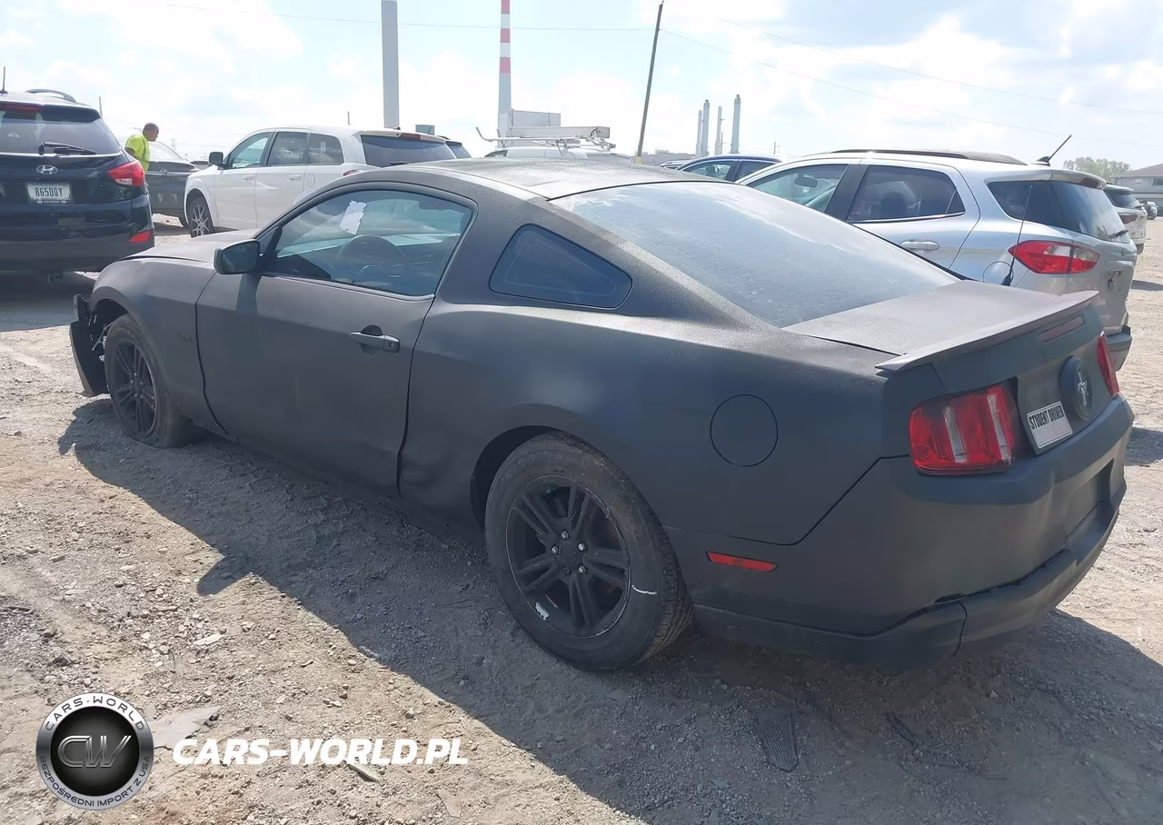 2010 Ford Mustang V6 VIN:1ZVBP8AN8A5131692 - 3