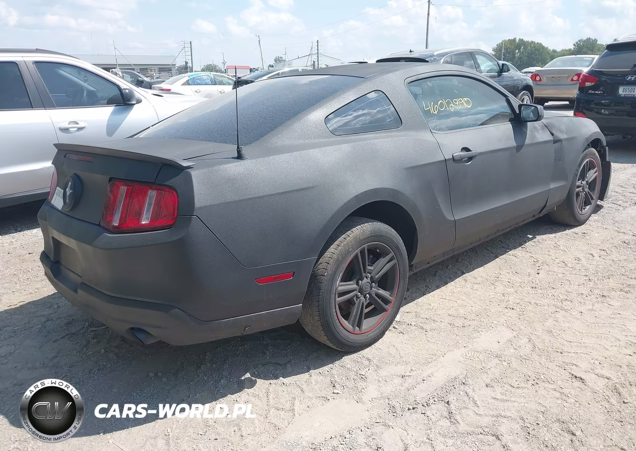 2010 Ford Mustang V6 VIN:1ZVBP8AN8A5131692 - 4