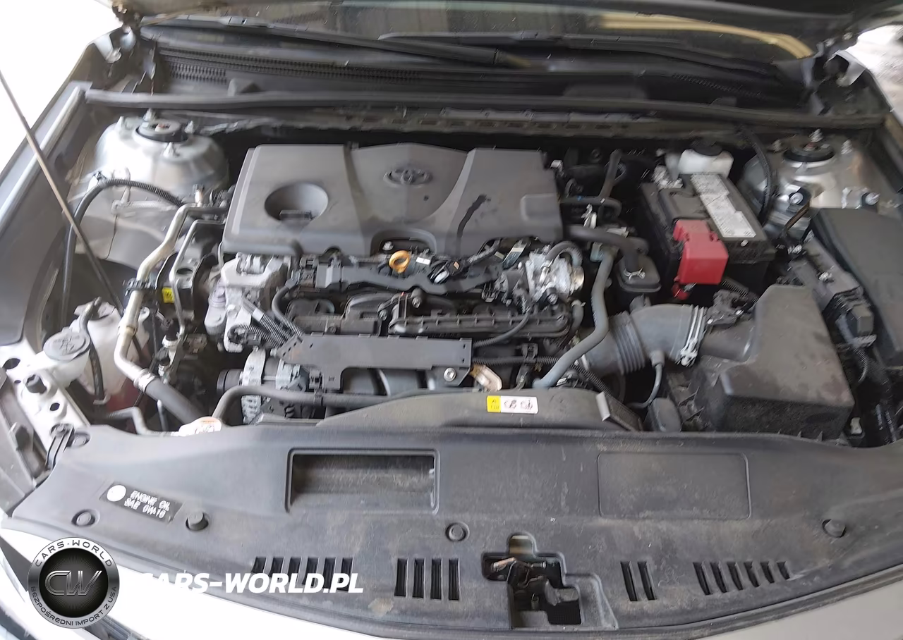 2023 Toyota Camry Le VIN:4T1C11AK4PU813176 - 10