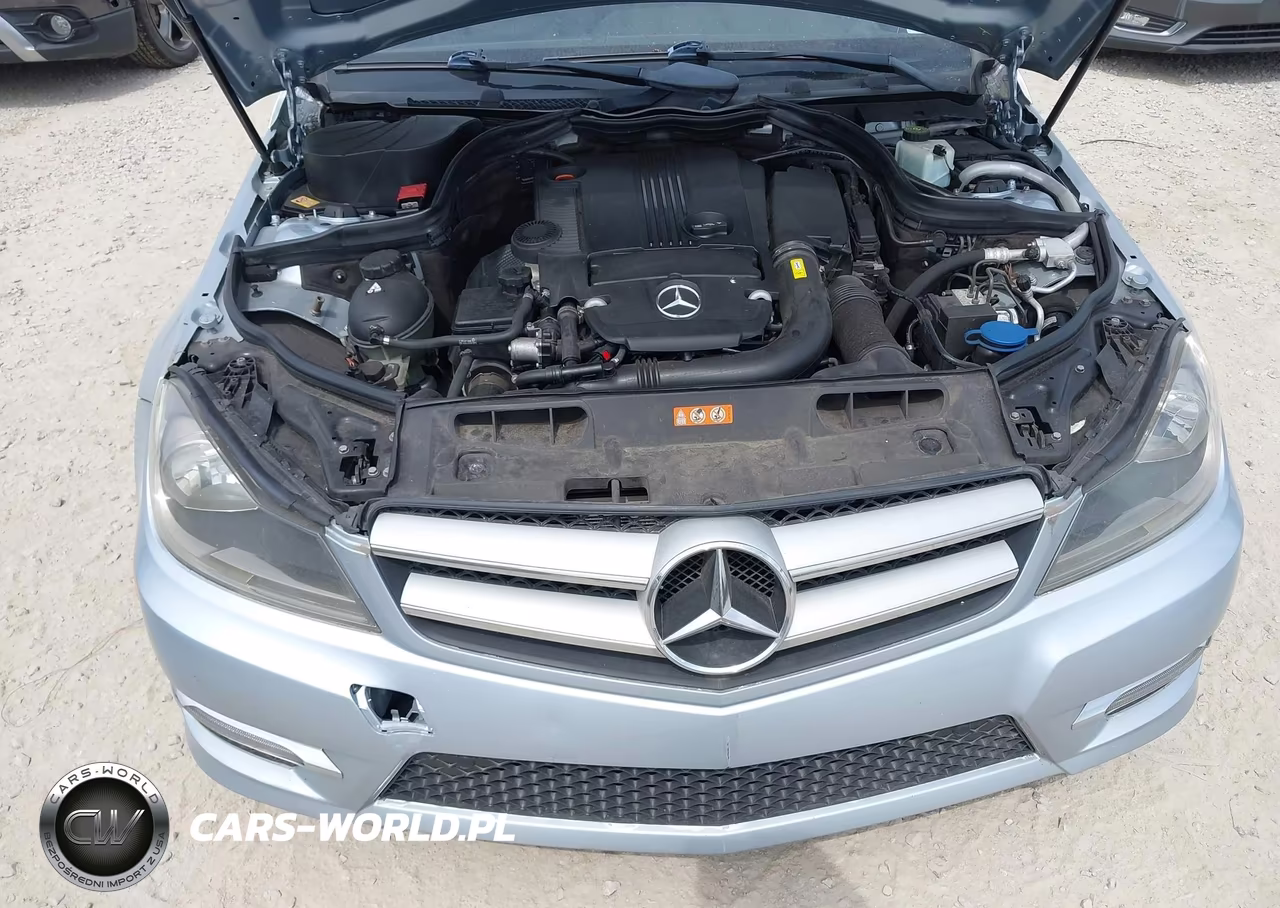 2013 Mercedes-Benz C 250 VIN:WDDGJ4HBXDG017450 - 10